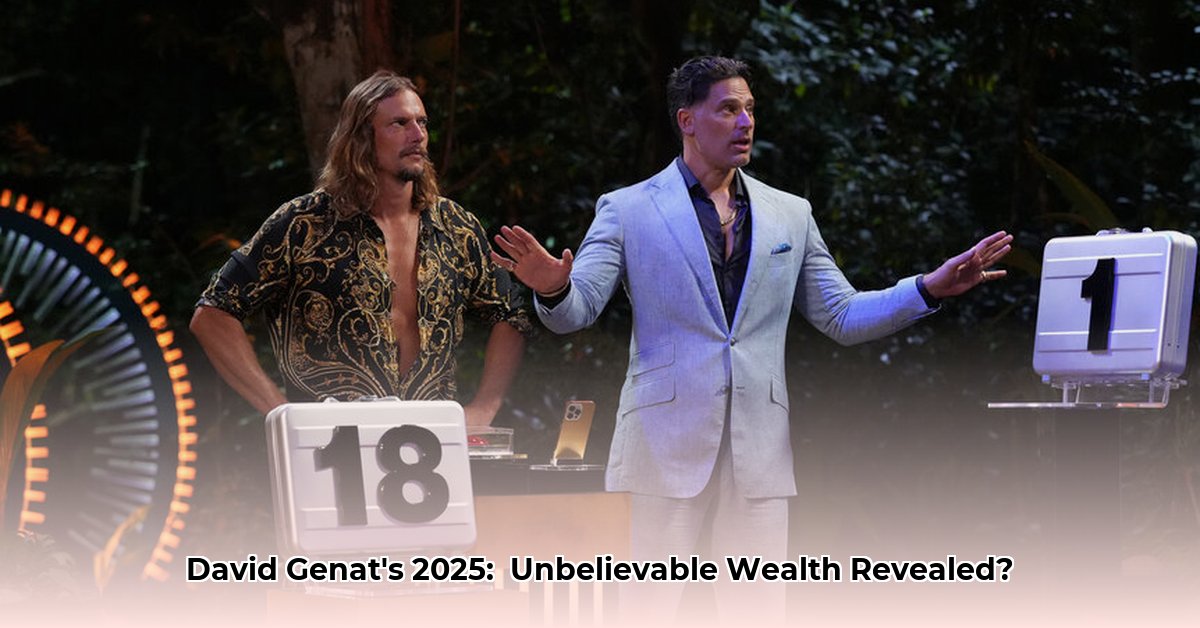 david-genat-wealth-projection-2025
